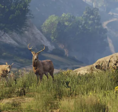 Grand Theft Auto V 7