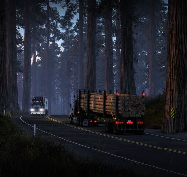 American Truck Simulator 9