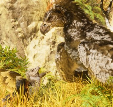 ARK: Survival Ascended 6