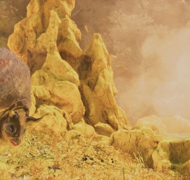 ARK: Survival Ascended 46