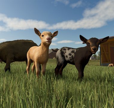 Farming Simulator 25 3