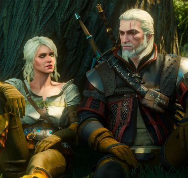 The Witcher 3: Wild Hunt 0